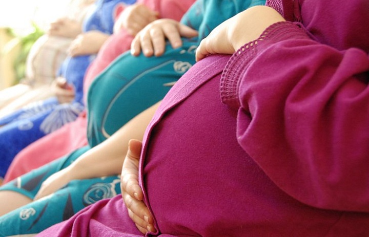 Сетевое издание М24 - Москва 24: Финансирование родильных отделений может быть увеличено